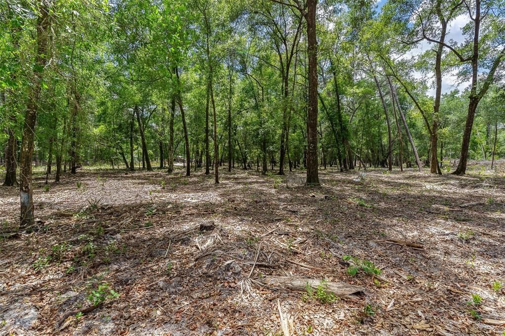 待售: $299,000 (4.60 acres)
