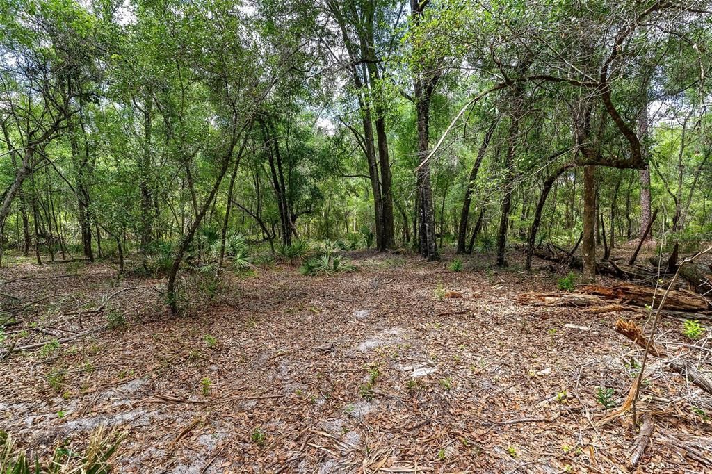 待售: $299,000 (4.60 acres)