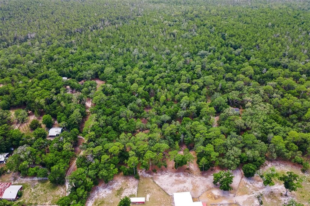 待售: $299,000 (4.60 acres)