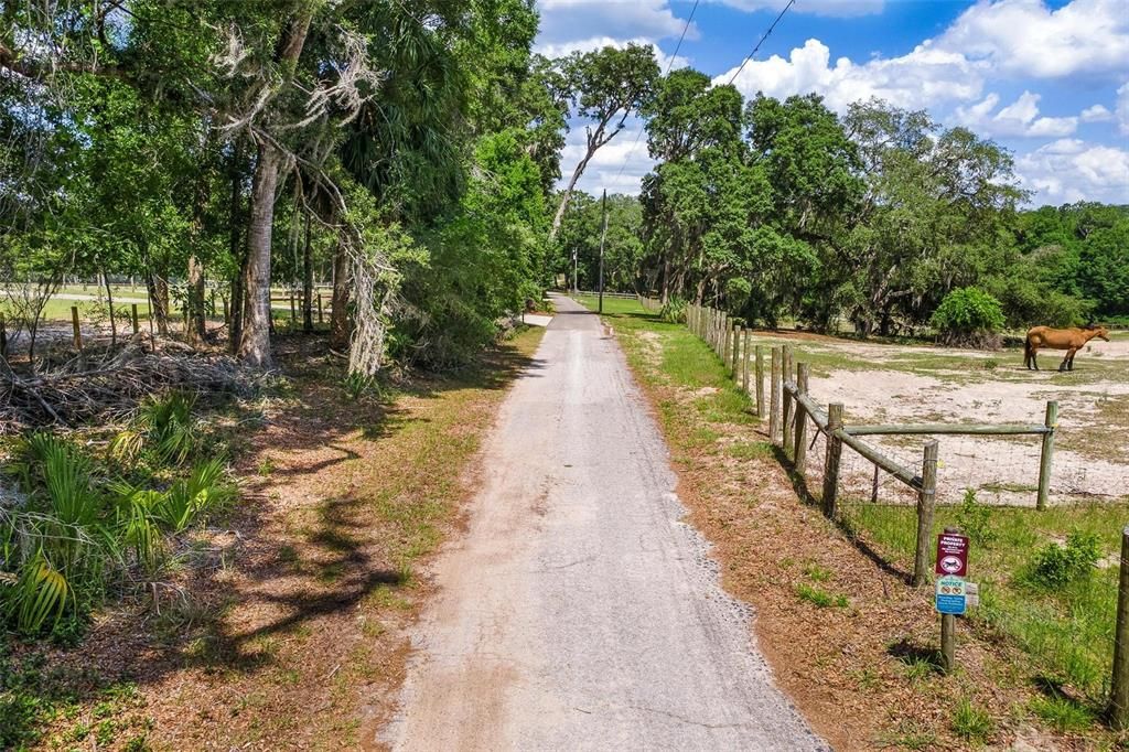 待售: $299,000 (4.60 acres)
