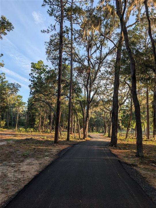 待售: $299,000 (4.60 acres)