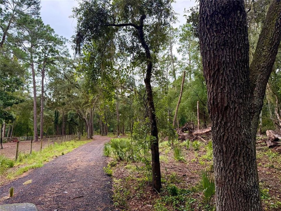 待售: $299,000 (4.60 acres)