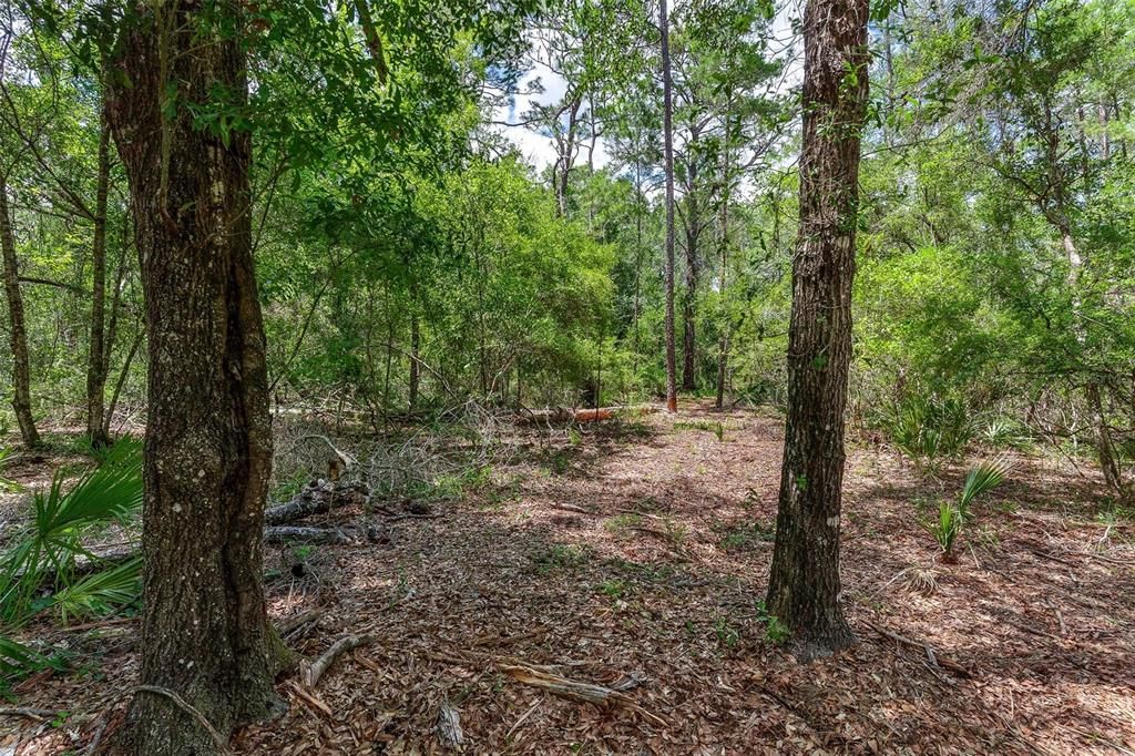 待售: $299,000 (4.60 acres)