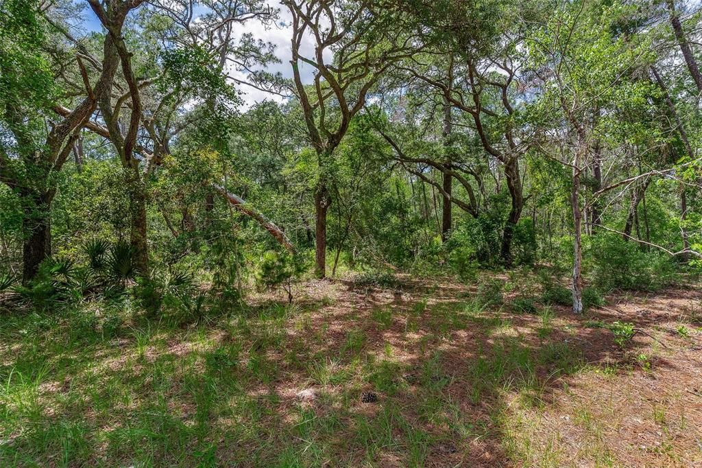 待售: $299,000 (4.60 acres)