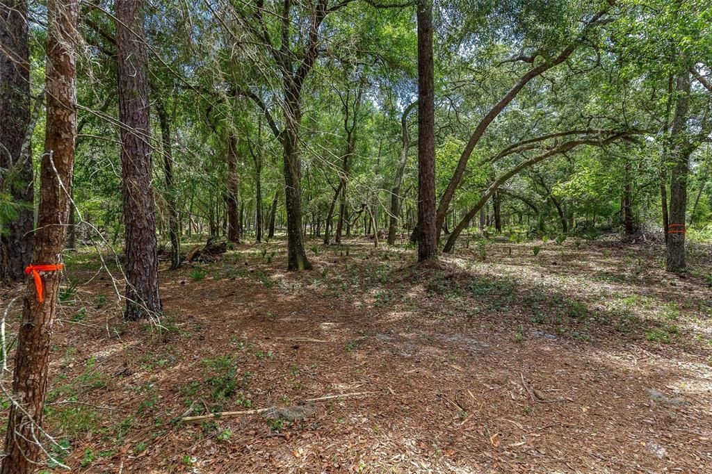 待售: $299,000 (4.60 acres)