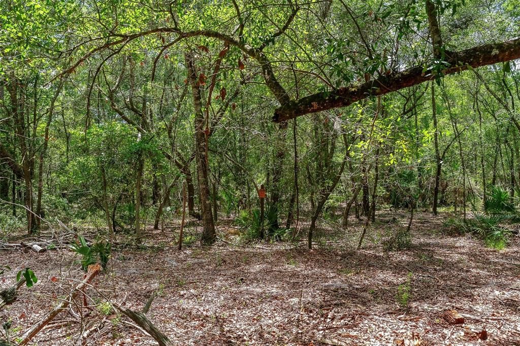 待售: $299,000 (4.60 acres)
