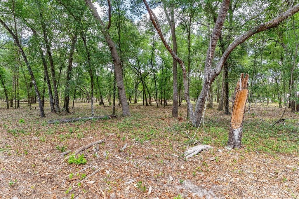 待售: $299,000 (4.60 acres)