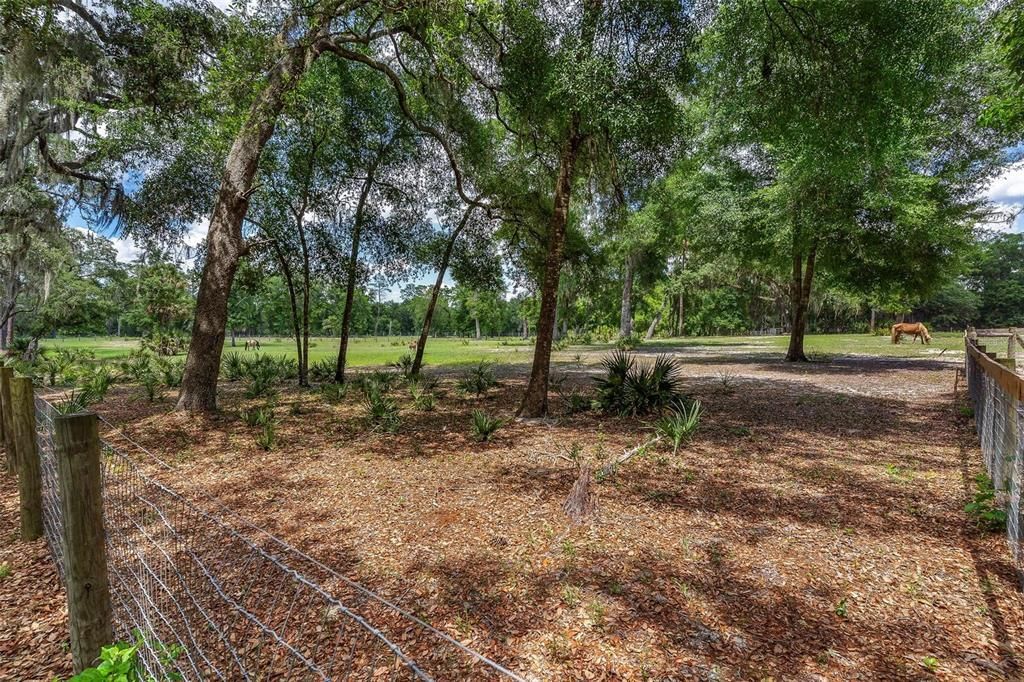 待售: $299,000 (4.60 acres)