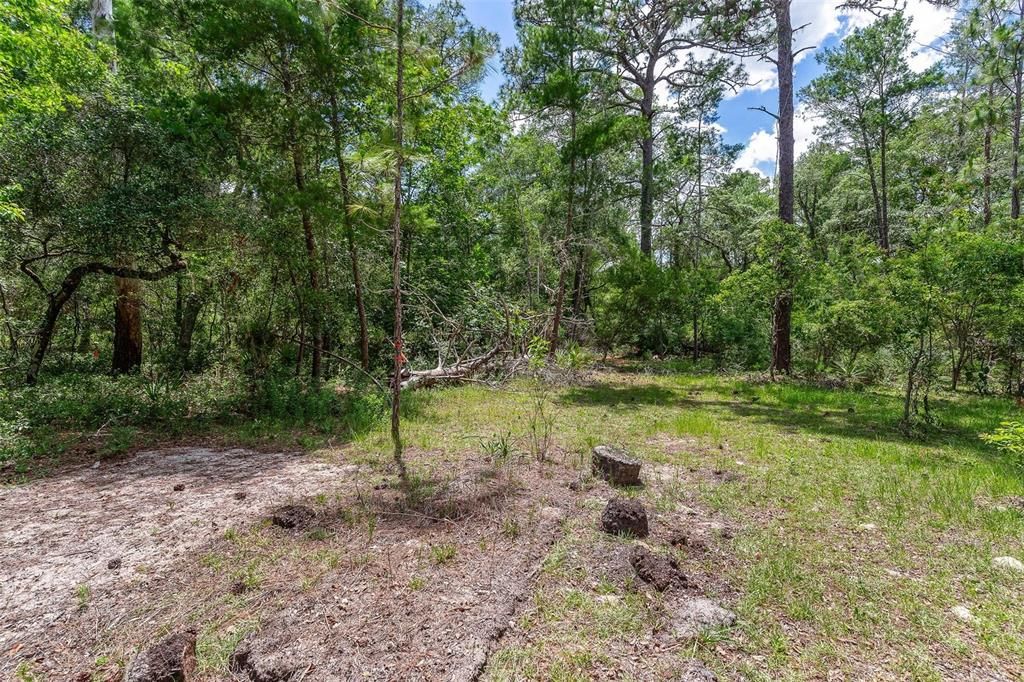 待售: $299,000 (4.60 acres)