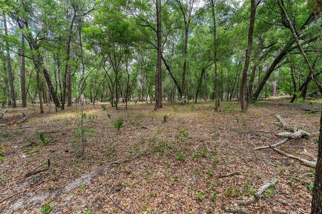 待售: $299,000 (4.60 acres)