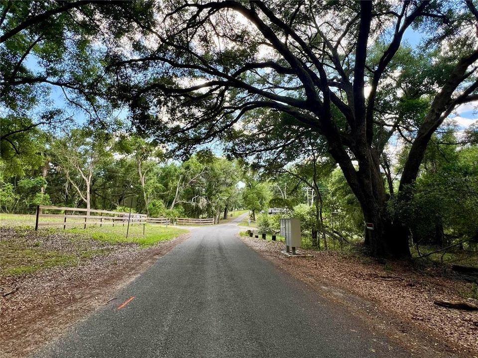 待售: $299,000 (4.60 acres)
