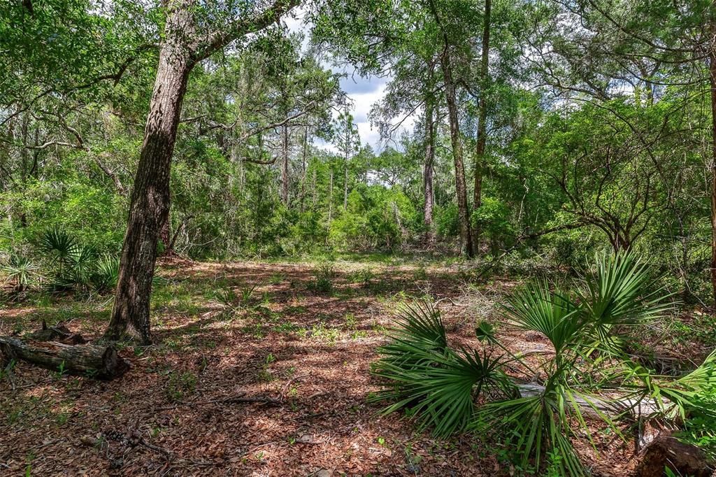 待售: $299,000 (4.60 acres)
