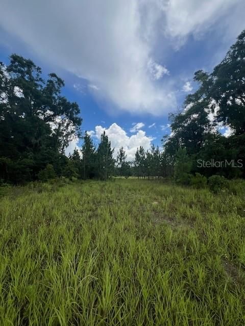 For Sale: $2,500,000 (70.01 acres)