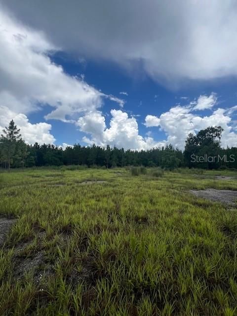 For Sale: $2,500,000 (70.01 acres)