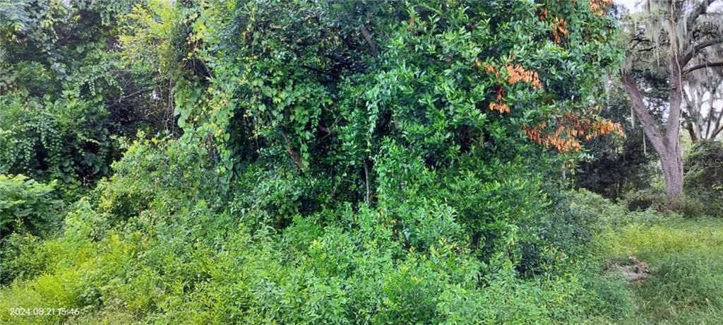 На продажу: $22,500 (0.27 acres)