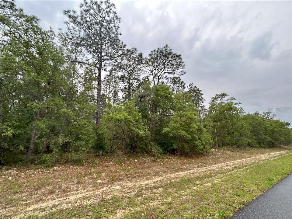 На продажу: $99,000 (1.21 acres)