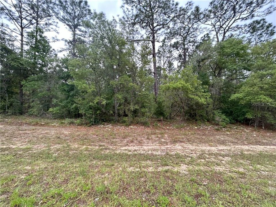 На продажу: $99,000 (1.21 acres)