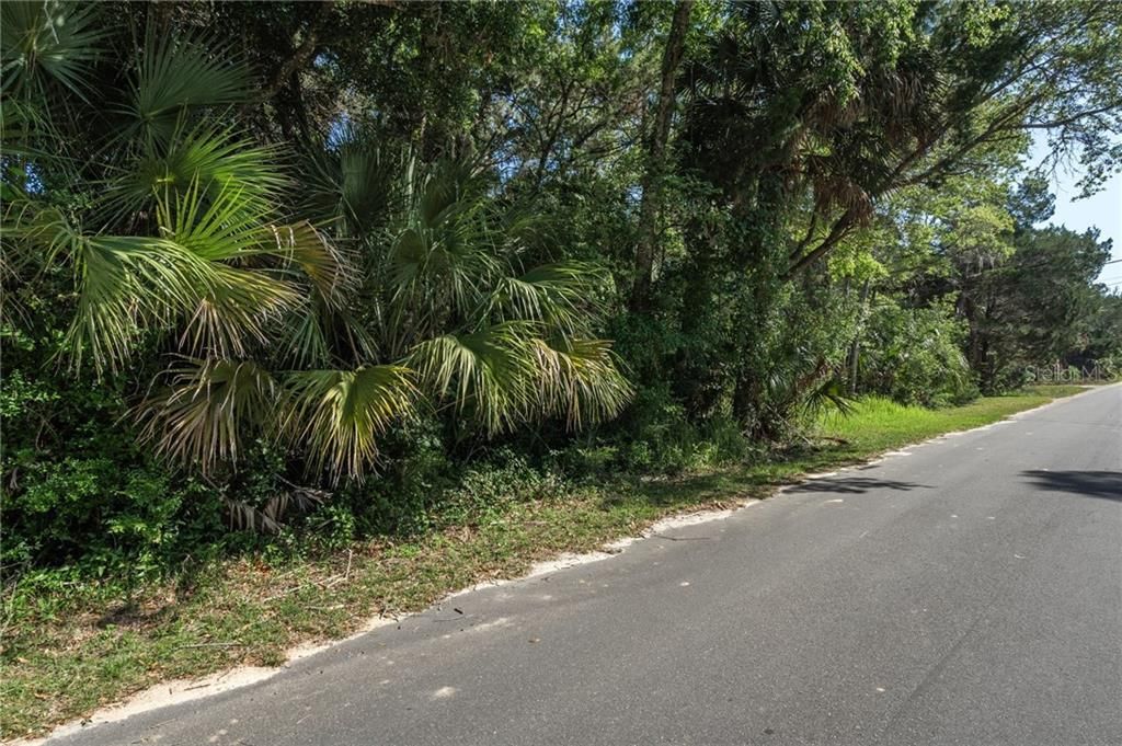 En Venta: $105,000 (0.95 acres)