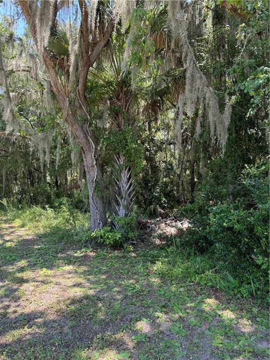 For Sale: $50,000 (0.95 acres)