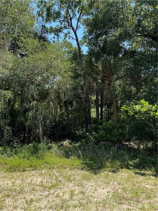 For Sale: $50,000 (0.95 acres)