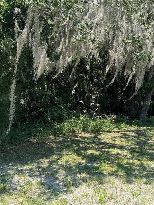 For Sale: $50,000 (0.95 acres)
