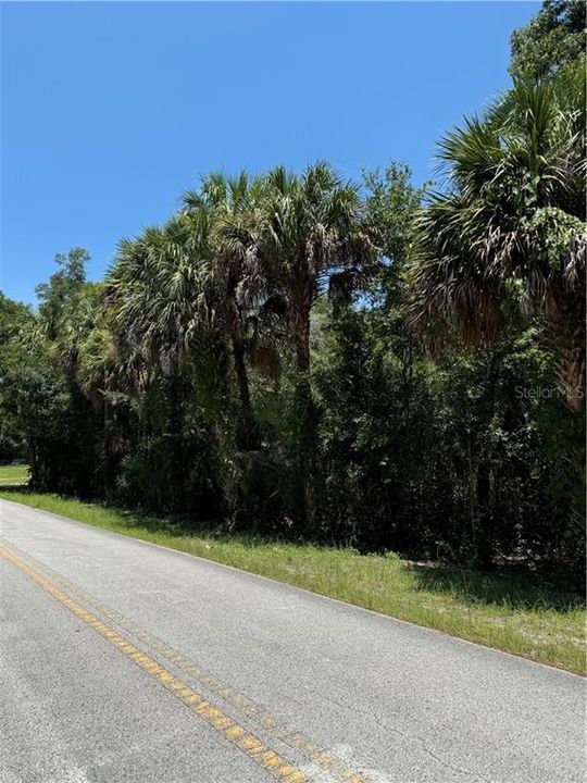 For Sale: $50,000 (0.95 acres)