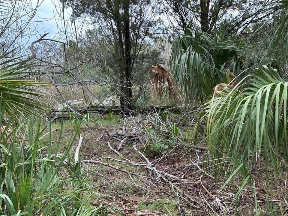 待售: $95,000 (0.23 acres)