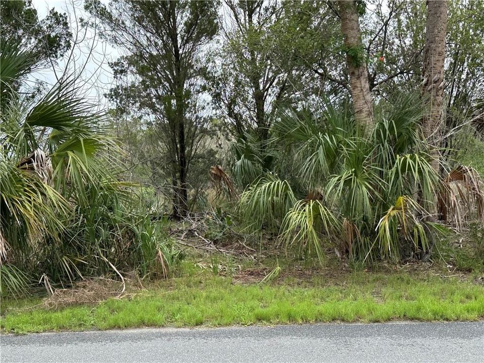 待售: $95,000 (0.23 acres)