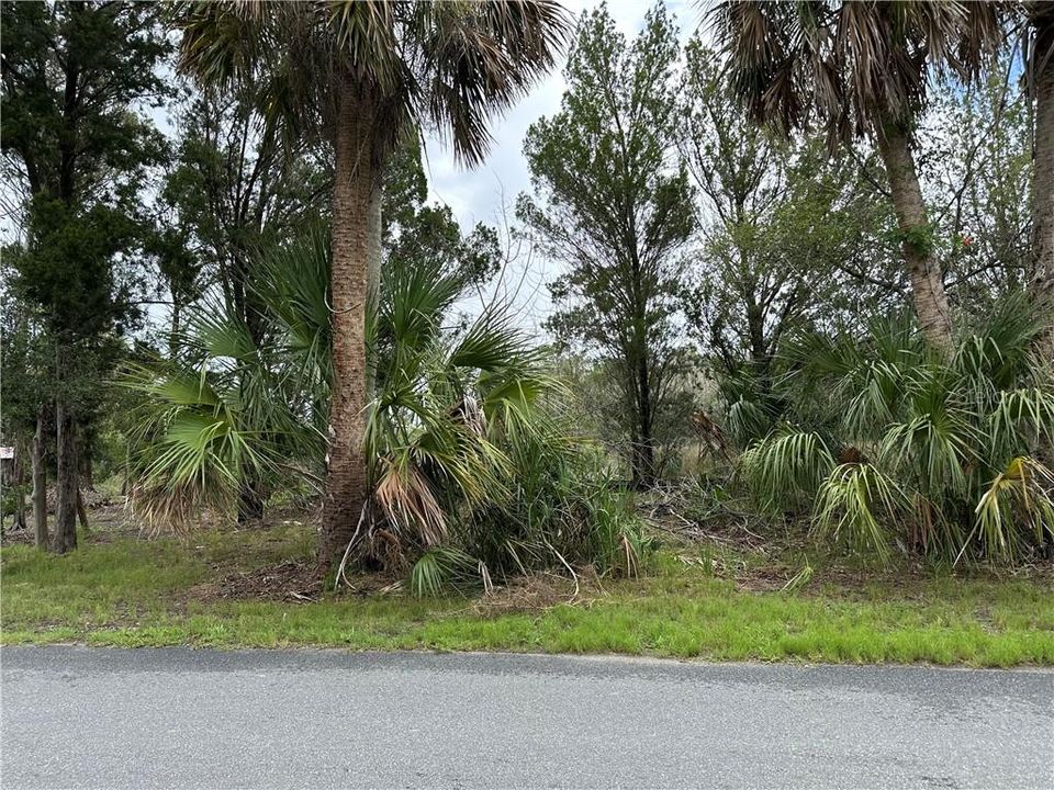 待售: $95,000 (0.23 acres)