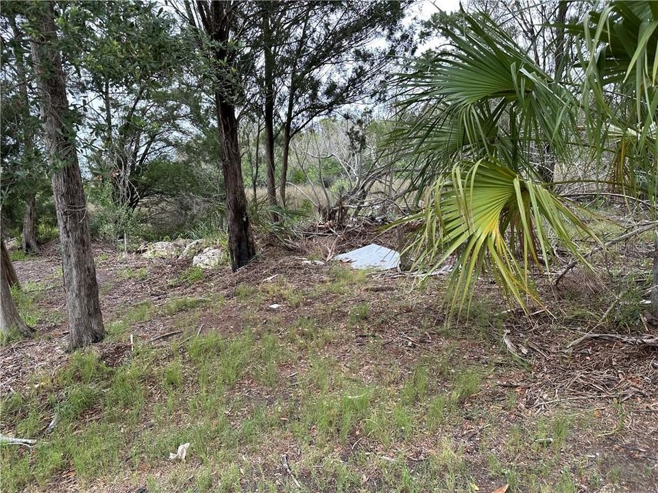 待售: $95,000 (0.23 acres)