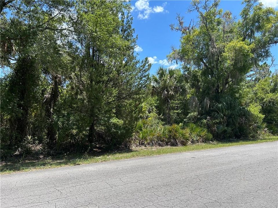На продажу: $34,000 (1.18 acres)