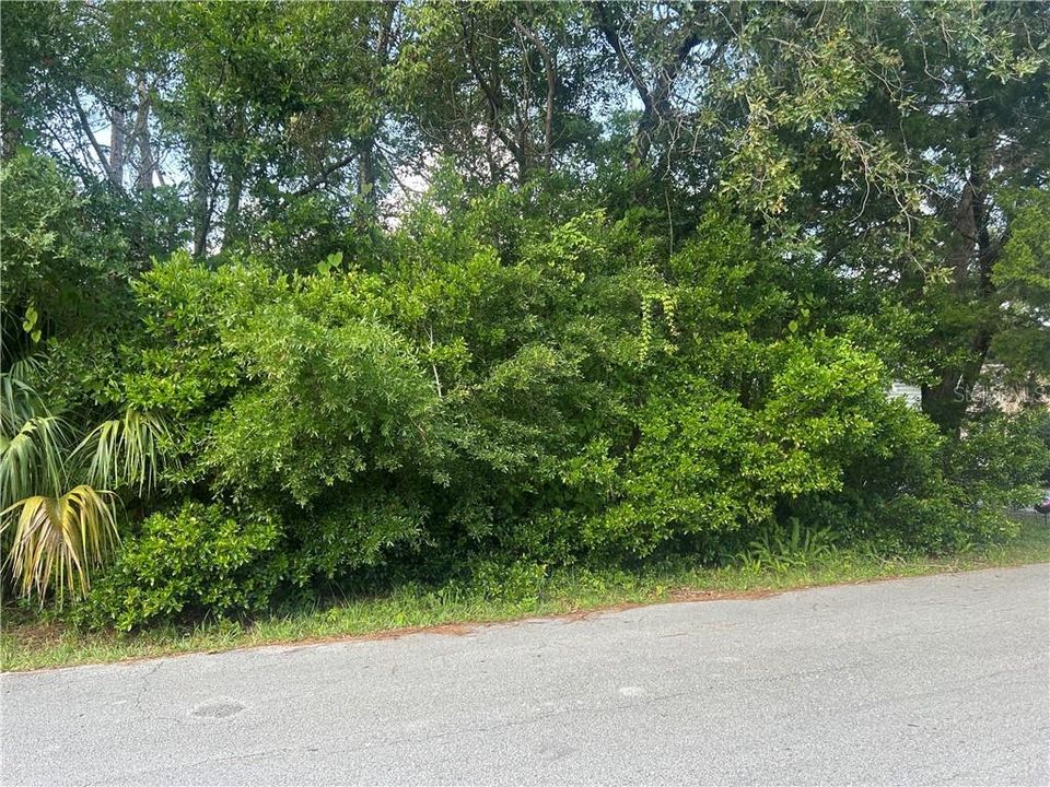 For Sale: $22,900 (0.09 acres)