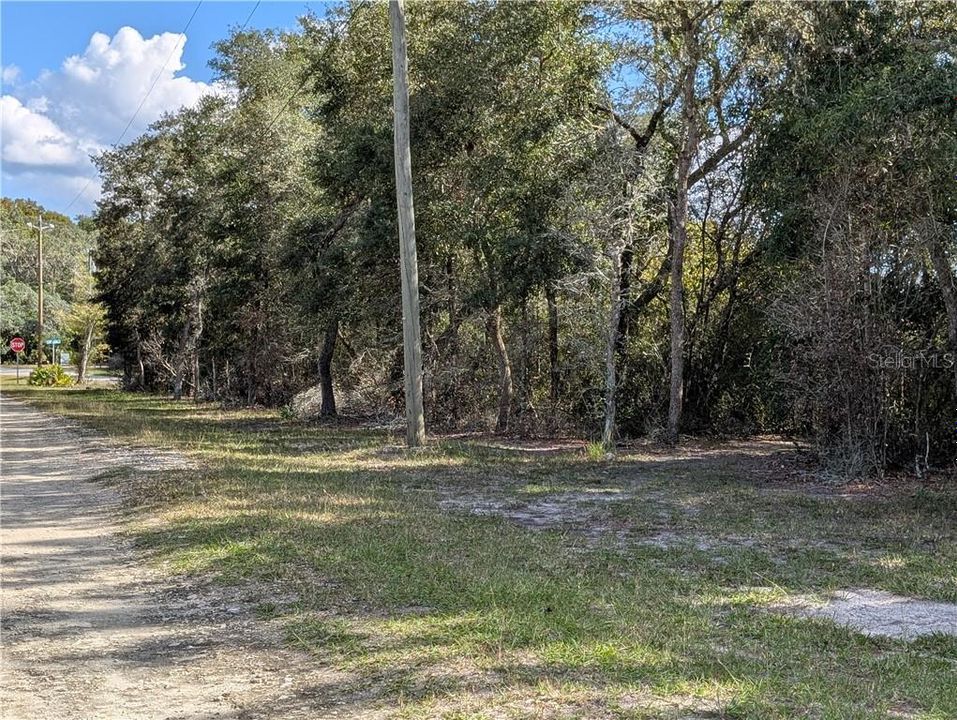 For Sale: $47,900 (0.81 acres)
