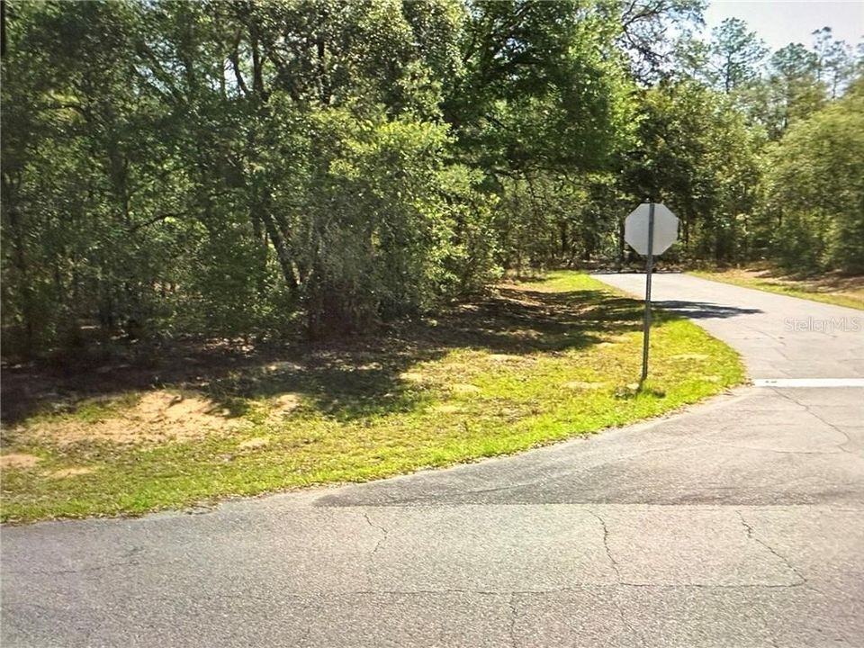 For Sale: $45,000 (0.45 acres)