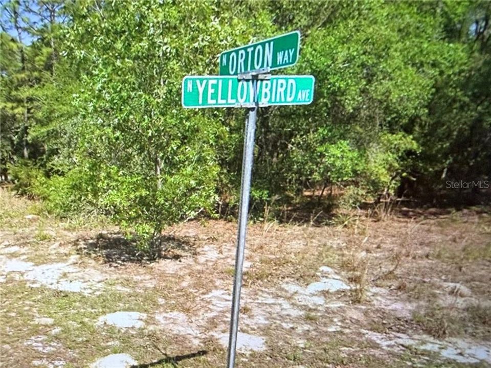 For Sale: $45,000 (0.45 acres)