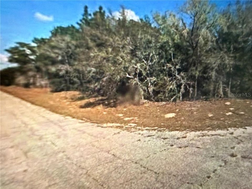 For Sale: $45,000 (0.45 acres)
