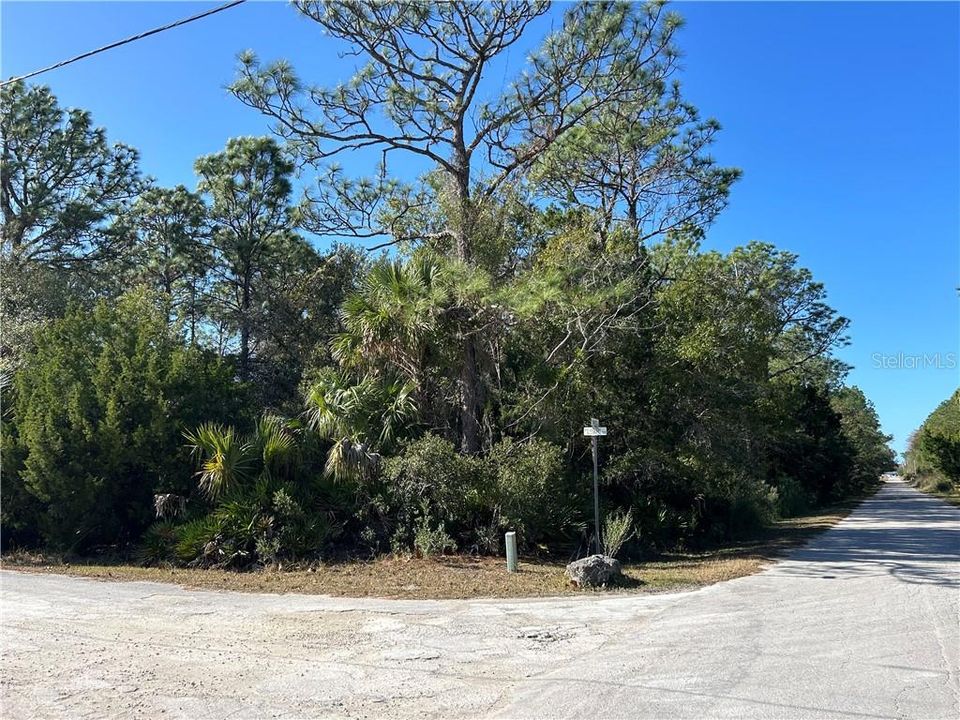 待售: $29,900 (1.05 acres)