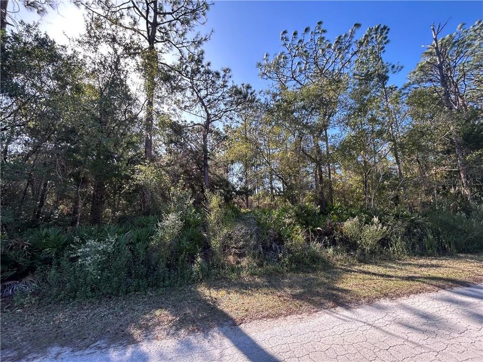 待售: $29,900 (1.05 acres)