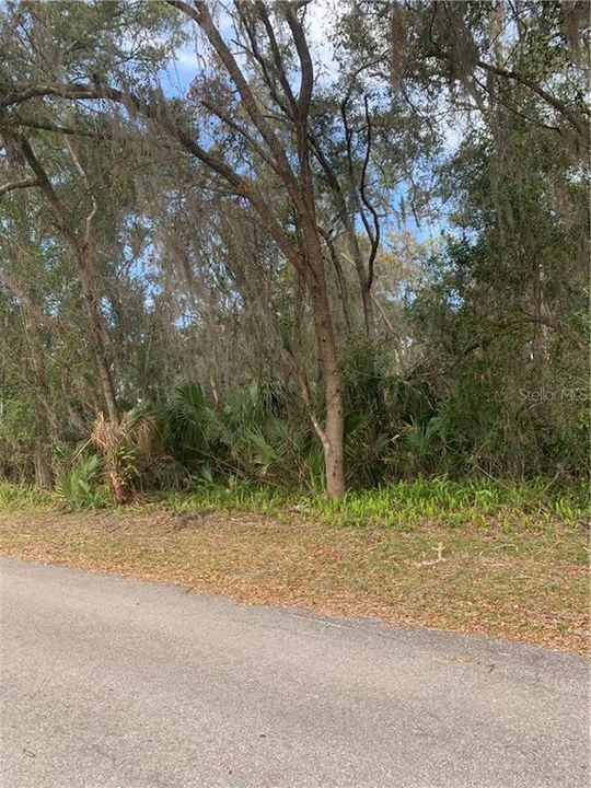 En Venta: $44,900 (0.44 acres)