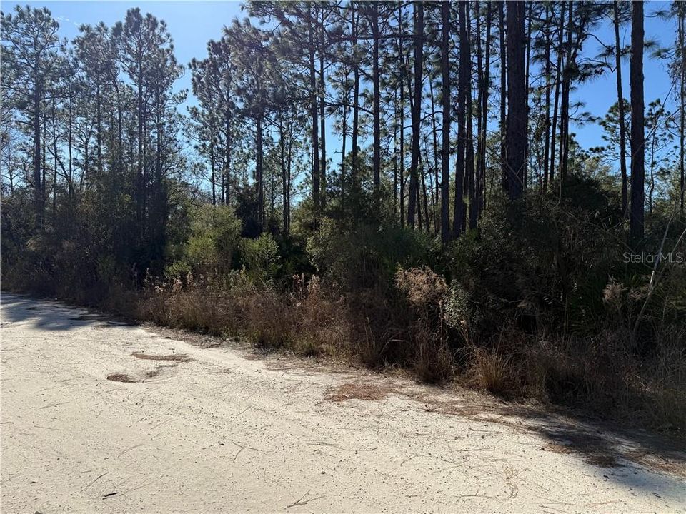 待售: $26,300 (1.01 acres)