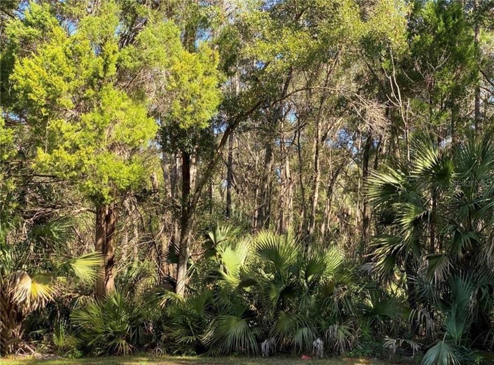 На продажу: $13,500 (0.27 acres)