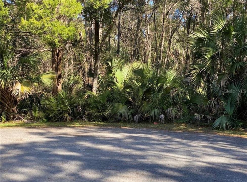 На продажу: $13,500 (0.27 acres)