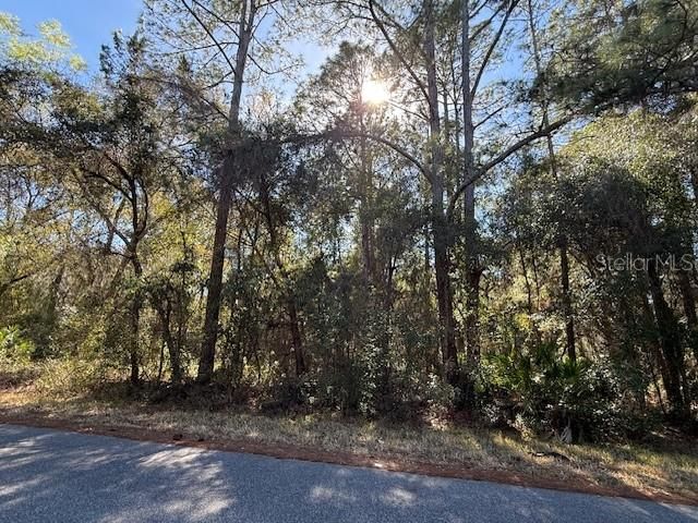 For Sale: $10,500 (0.20 acres)