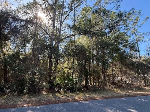 For Sale: $10,500 (0.20 acres)