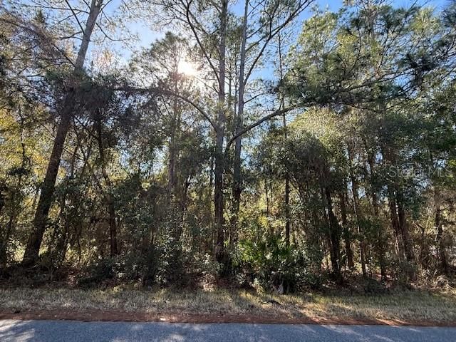 For Sale: $10,500 (0.20 acres)