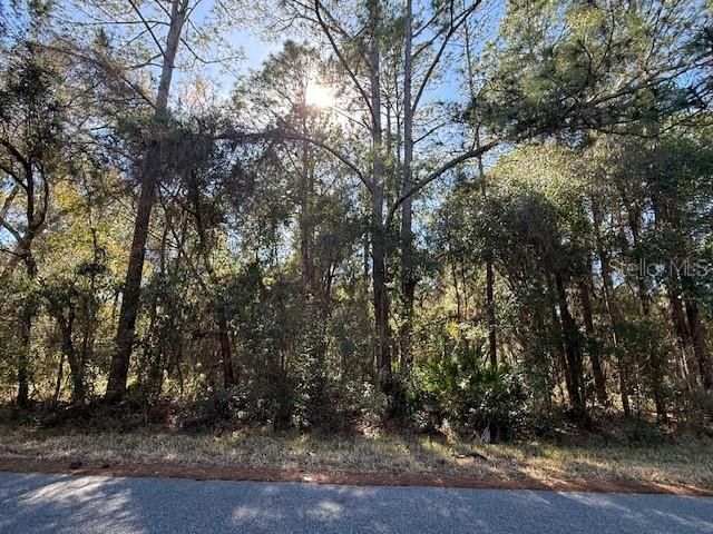 For Sale: $10,500 (0.20 acres)