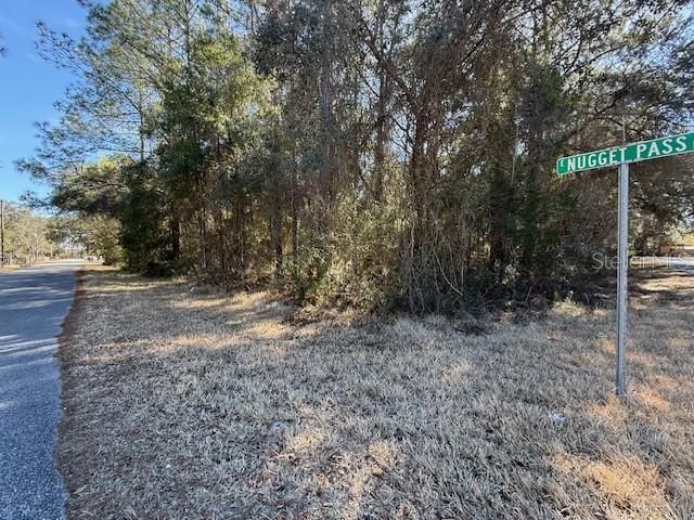 For Sale: $10,500 (0.20 acres)