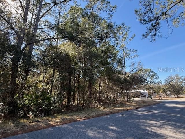 For Sale: $10,500 (0.20 acres)