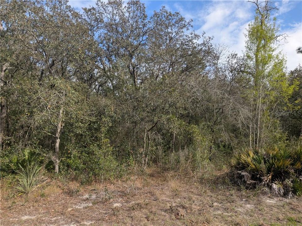 На продажу: $79,900 (1.89 acres)