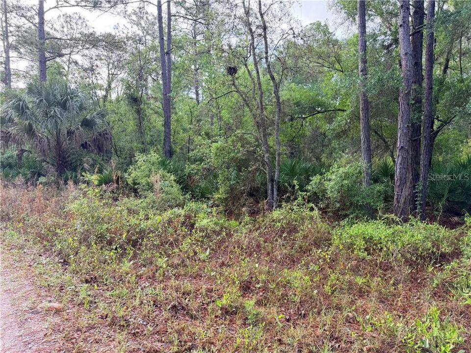 待售: $24,900 (1.00 acres)